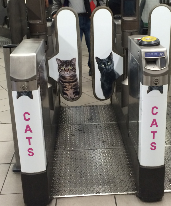 Cats on the ticket barriers
